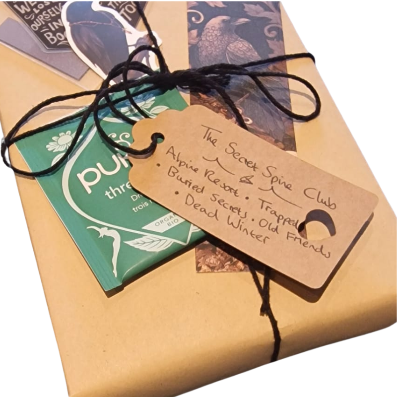 Hand-wrapped mystery book with bookmarks and extras